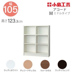 浜本工芸 [開梱設置送料無料] 純国産品 オープンタイプ No.8600 書棚A