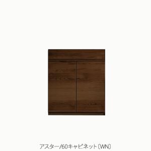 高野木工　アスターユニット家具 ユニット家具 アスター 240天板〔WN〕【収納/リビング/寝室/書斎