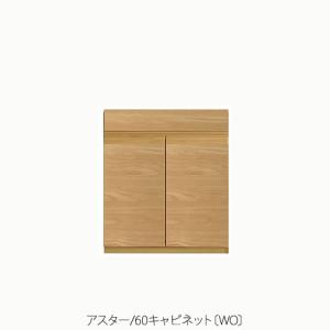 ユニット家具 アスター 30キャビネット/右開き〔WO〕【収納/リビング