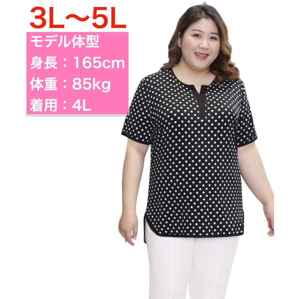 大きいサイズ 水玉ブラウス ドット柄 黒 レディース トップス 半袖 Vネックカットソー 3L 4L...