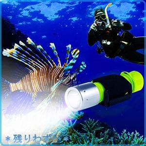 BlueFire ダイビングライト 1100LM Cree XM-L2 IPX8防水 LEDライト 水中懐中電灯 ダイビング懐中電灯 潜水 ハンドストラ
