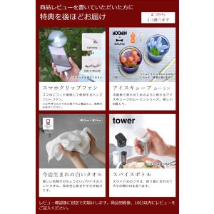 [ 伸縮スリムラック ]特典付 調味料ラック ...の詳細画像1
