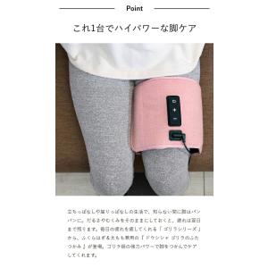 特典付[ ゴリラシリーズ ゴリラのふたつかみ ...の詳細画像5