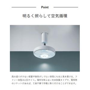 特典付[ CIRCULIGHT サーキュライト...の詳細画像4