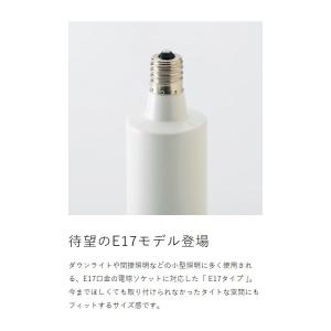 特典付[ CIRCULIGHT サーキュライト...の詳細画像5