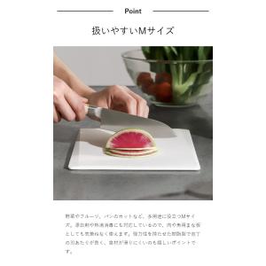 販売店舗限定 特典付[ モルテニック サーフェ...の詳細画像5