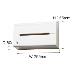 [ ideaco WALL ]ティッシュケース...の詳細画像1