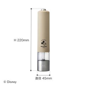 [ BRUNO DISNEY LEDライト付ス...の詳細画像1