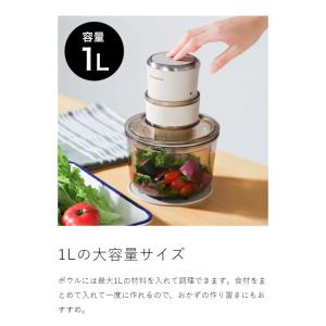 2大特典[ recolte Food Proc...の詳細画像5