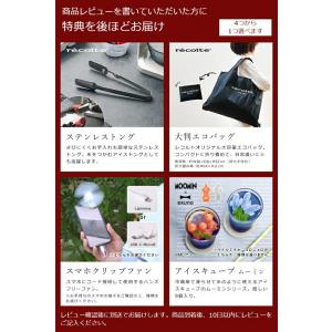 特典付[ recolte 電動かき氷器 ]レコ...の詳細画像1