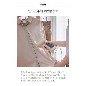 [ recolte スチームアイロン ]2大特...の詳細画像5