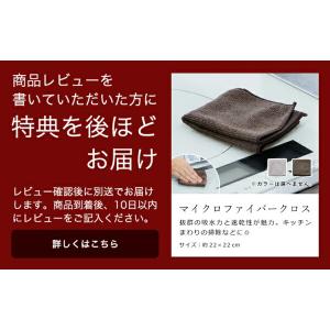特典付[ 壁付け靴ベラスタンドセット タワー ...の詳細画像1
