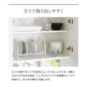 [ ディッシュラック タワー ワイド S ]山...の詳細画像4