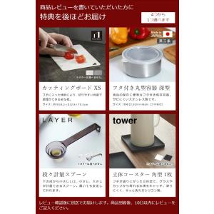 特典付[ 壁付けハンガーバー タワー ]山崎実...の詳細画像1