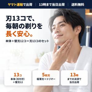 ジレット プログライド マニュアル _ 本体+...の詳細画像1