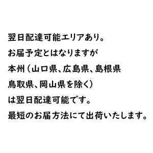 シック ハイドロ5 プレミアム _ 本体+替刃...の詳細画像2