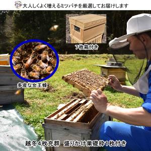 山田くんの養蜂場 - Yahoo!ショッピング