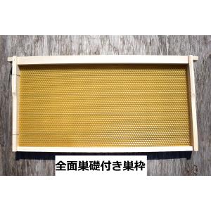 西洋ミツバチ　ホ式　巣礎付き巣枠　10枚セット