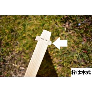 西洋ミツバチ ホ式 巣礎付き巣枠 10枚セットの詳細画像1