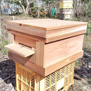 西洋みつばち　巣箱(巣枠9枚　給餌器) 西洋ミツバチ 継箱ハーフサイズ10枚箱用 ハーフサイズ巣礎付き巣枠10枚