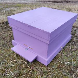 西洋ミツバチ巣箱　山田くんのミツバチカラフル巣箱　10枚タイプ　紫色｜roots-pb