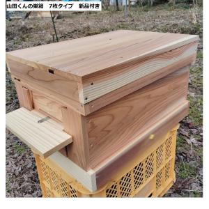 西洋ミツバチ 種蜂 新王4枚群 巣礎枠1枚 山...の詳細画像5