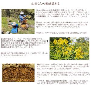 西洋ミツバチ 種蜂 新王6枚群 巣礎枠1枚 山...の詳細画像4