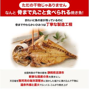 骨まで食べられる焼き魚 まるごとくん 9枚セッ...の詳細画像1