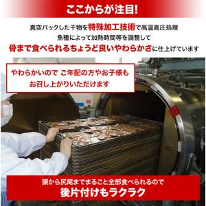 骨まで食べられる焼き魚 まるごとくん 9枚セッ...の詳細画像2