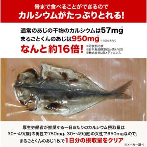 骨まで食べられる焼き魚 まるごとくん 9枚セッ...の詳細画像3