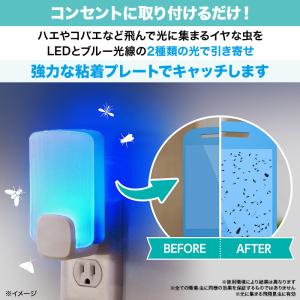 【6月21日まで2セット同時購入で1960円O...の詳細画像2