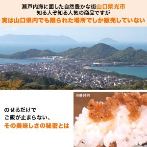 のせのせシリーズ バラエティセット ニッポンめ...の詳細画像2