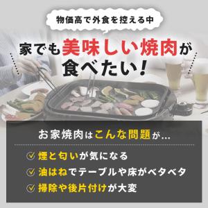 イワタニ マルチカットグリル 特別セット じゅ...の詳細画像1