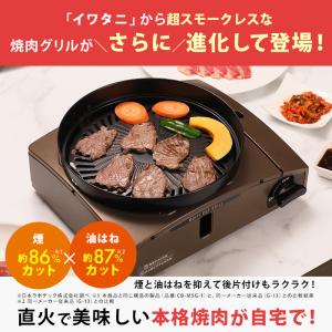 イワタニ マルチカットグリル 特別セット じゅ...の詳細画像2