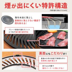 イワタニ マルチカットグリル 特別セット じゅ...の詳細画像4