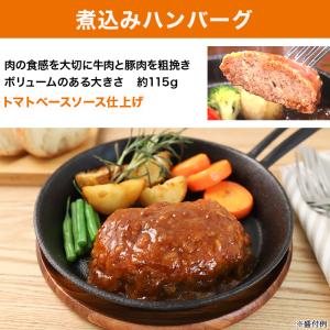 日本ハム 陸上自衛隊戦闘糧食モデル防災食 5食...の詳細画像4