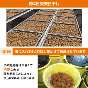 紀州南高梅はねだし梅干 はちみつ漬け 1.6k...の詳細画像3