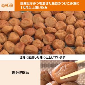 紀州南高梅はねだし梅干 はちみつ漬け 1.6k...の詳細画像4