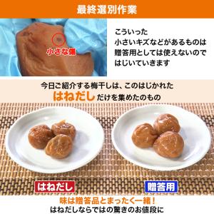 紀州南高梅はねだし梅干 はちみつ漬け 1.6k...の詳細画像5