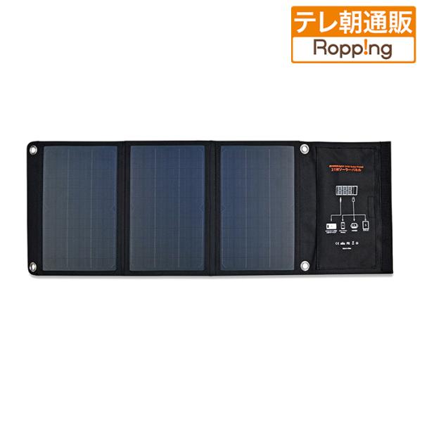 大型ソーラーパネル(21W) じゅん散歩 テレビ朝日 テレ朝通販 ロッピング  災害  停電 太陽光...