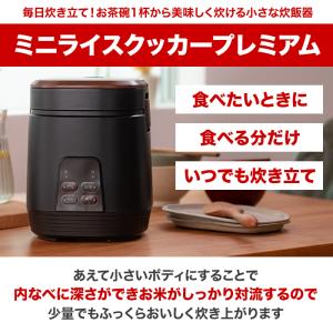 ミニライスクッカープレミアム ニッポンめしあが...の詳細画像1