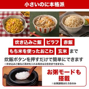 ミニライスクッカープレミアム ニッポンめしあが...の詳細画像4