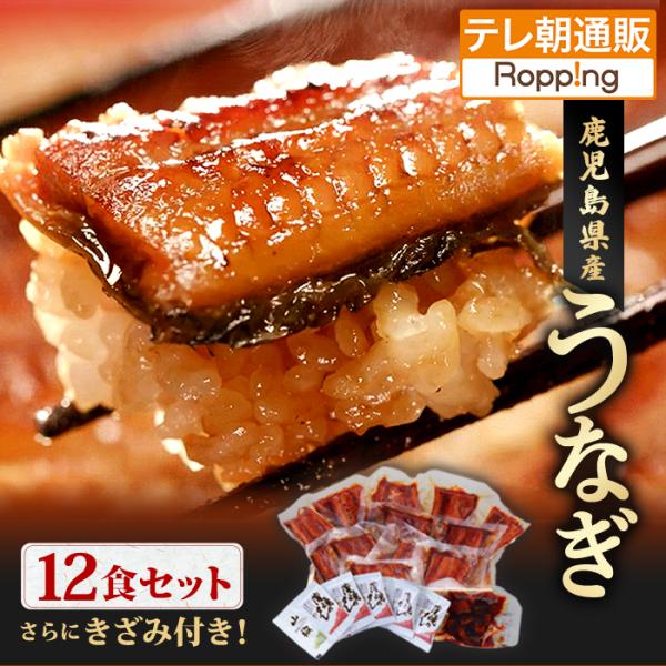 鹿児島県産うなぎ12食セット＆きざみ付き じゅん散歩 テレビ朝日 テレ朝通販 ロッピング 国産肉厚ウ...