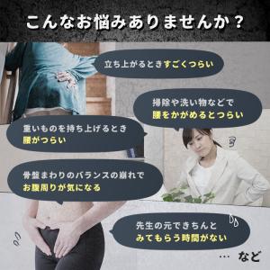 骨盤先生の楽ちん腰ベルト ダブル ワカコさんと...の詳細画像2