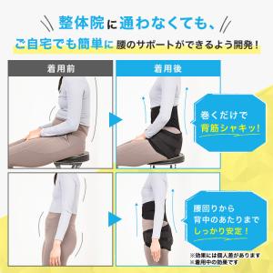 骨盤先生の楽ちん腰ベルト ダブル ワカコさんと...の詳細画像3
