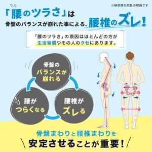 骨盤先生の楽ちん腰ベルト ダブル ワカコさんと...の詳細画像4