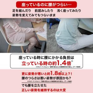 腰ラクサポート カーブルチェア ワイド ニッポ...の詳細画像1