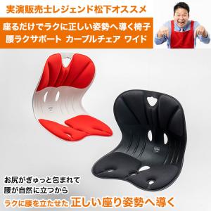 腰ラクサポート カーブルチェア ワイド ニッポ...の詳細画像2