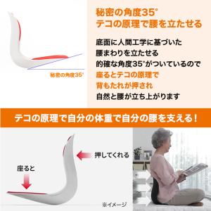 腰ラクサポート カーブルチェア ワイド ニッポ...の詳細画像4
