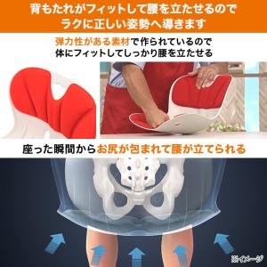 腰ラクサポート カーブルチェア ワイド ニッポ...の詳細画像5